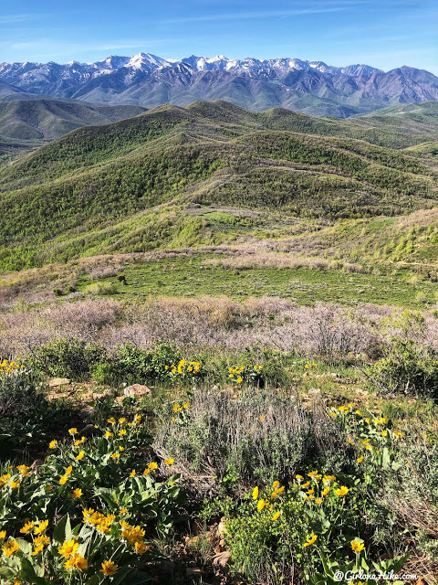 Hiking to Lookout Peak