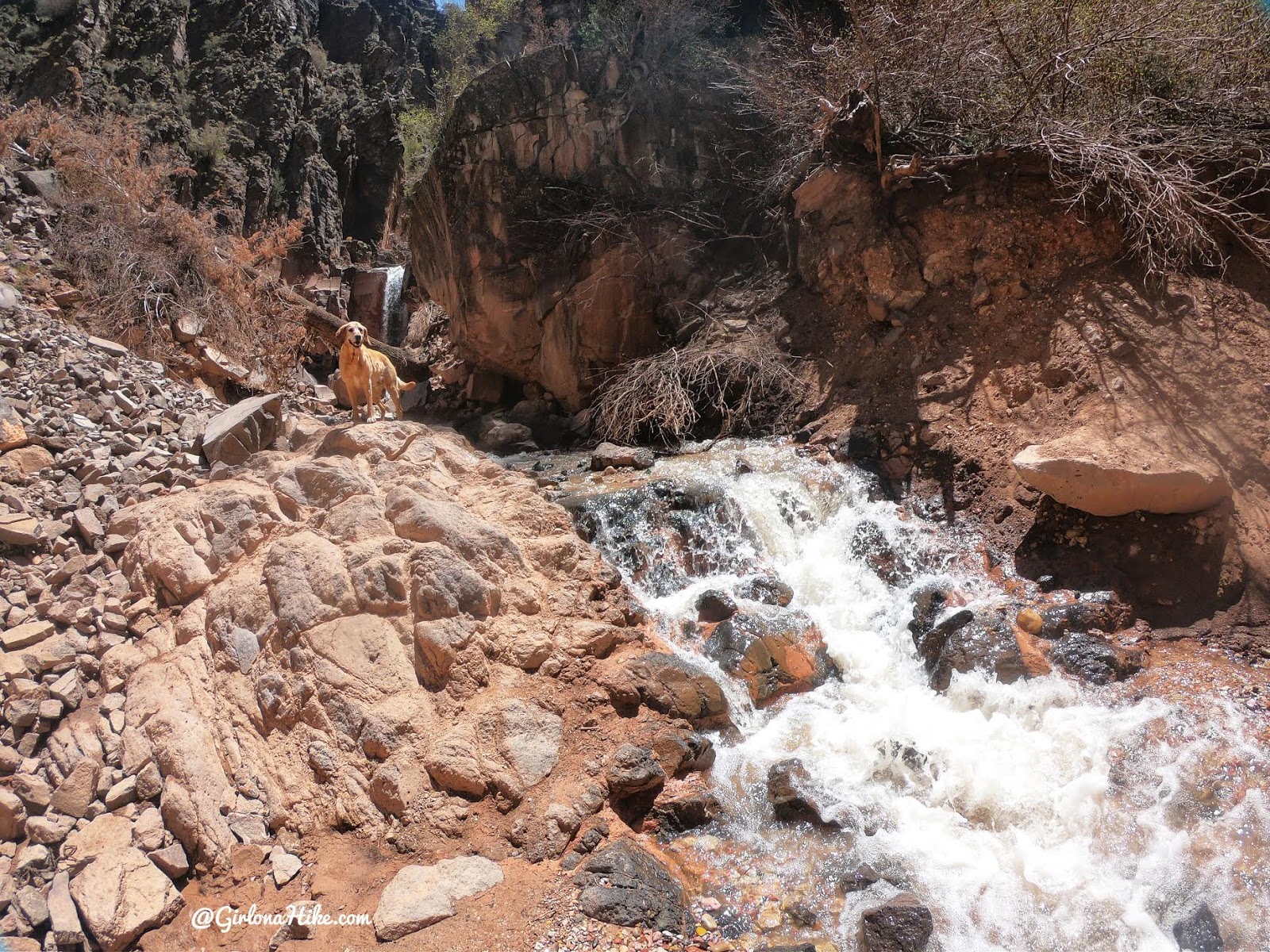 Hiking to the Hidden Haven Waterfall, Parowan, Utah waterfall, Brian Head waterfall, waterfalls in utah, waterfalls in southern utah, dog friendly utah waterfalls