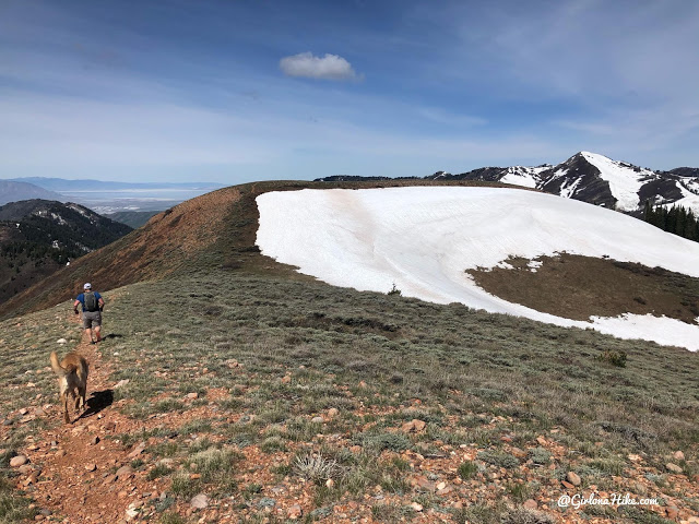 Hiking to Lookout Peak