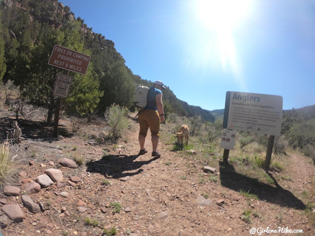 Camping & Exploring at Flaming Gorge National Rec Area, Hiking the Little Hole Trail