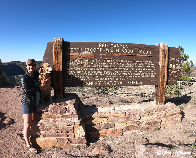 Camping & Exploring at Flaming Gorge National Rec Area, camping at Red Canyon Overlook