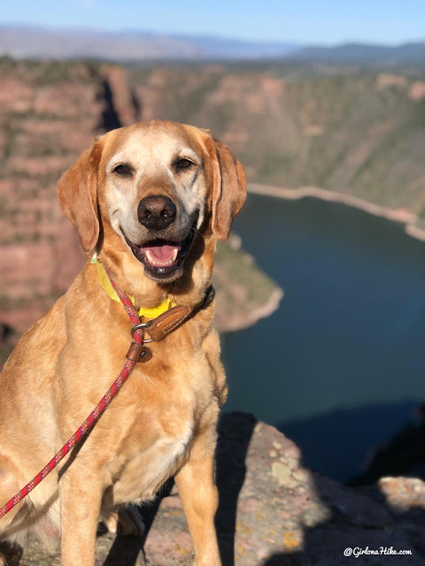 Camping & Exploring at Flaming Gorge National Rec Area, camping at Red Canyon Overlook