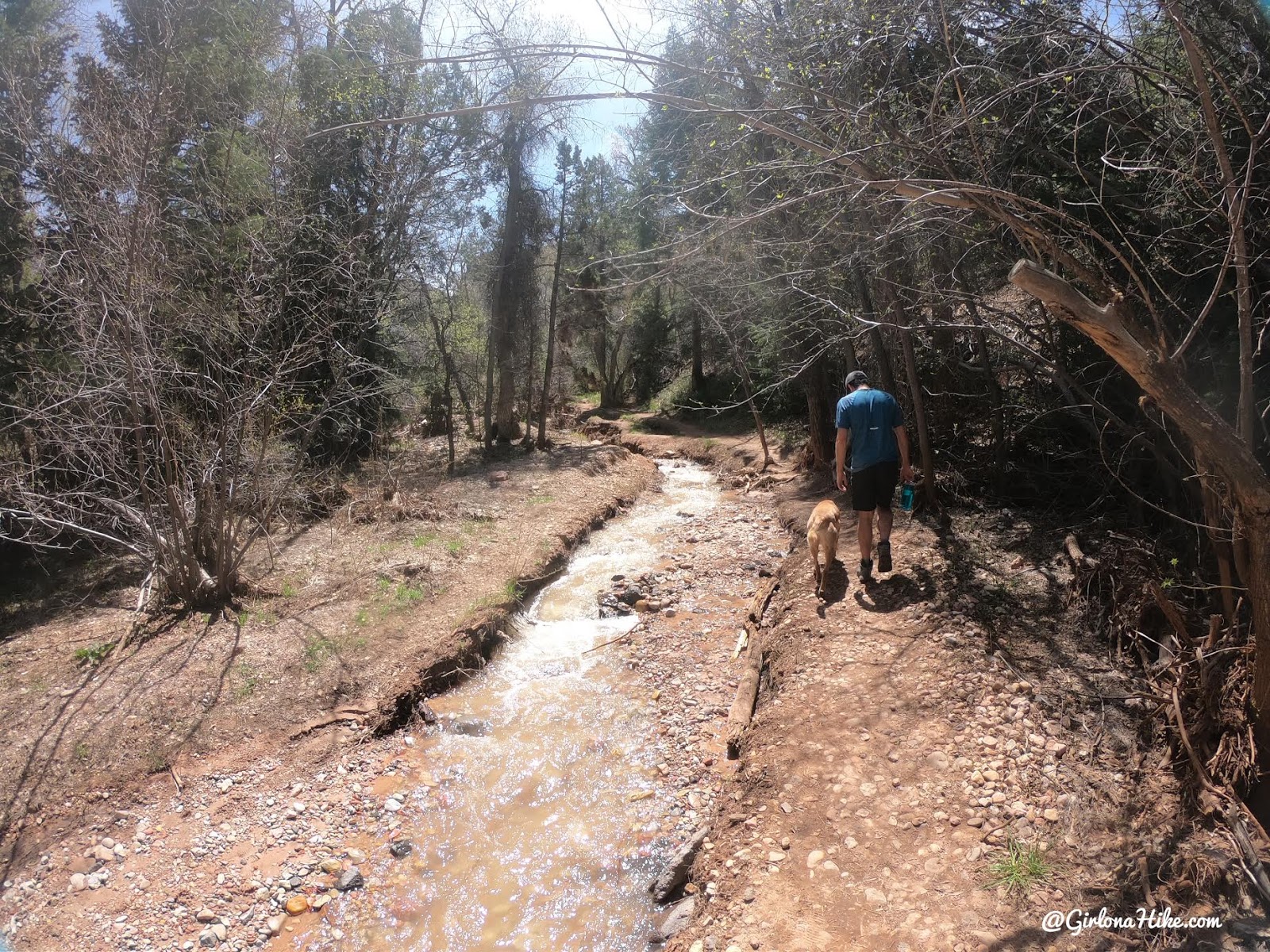 Hiking to the Hidden Haven Waterfall, Parowan, Utah waterfall, Brian Head waterfall, waterfalls in utah, waterfalls in southern utah, dog friendly utah waterfalls