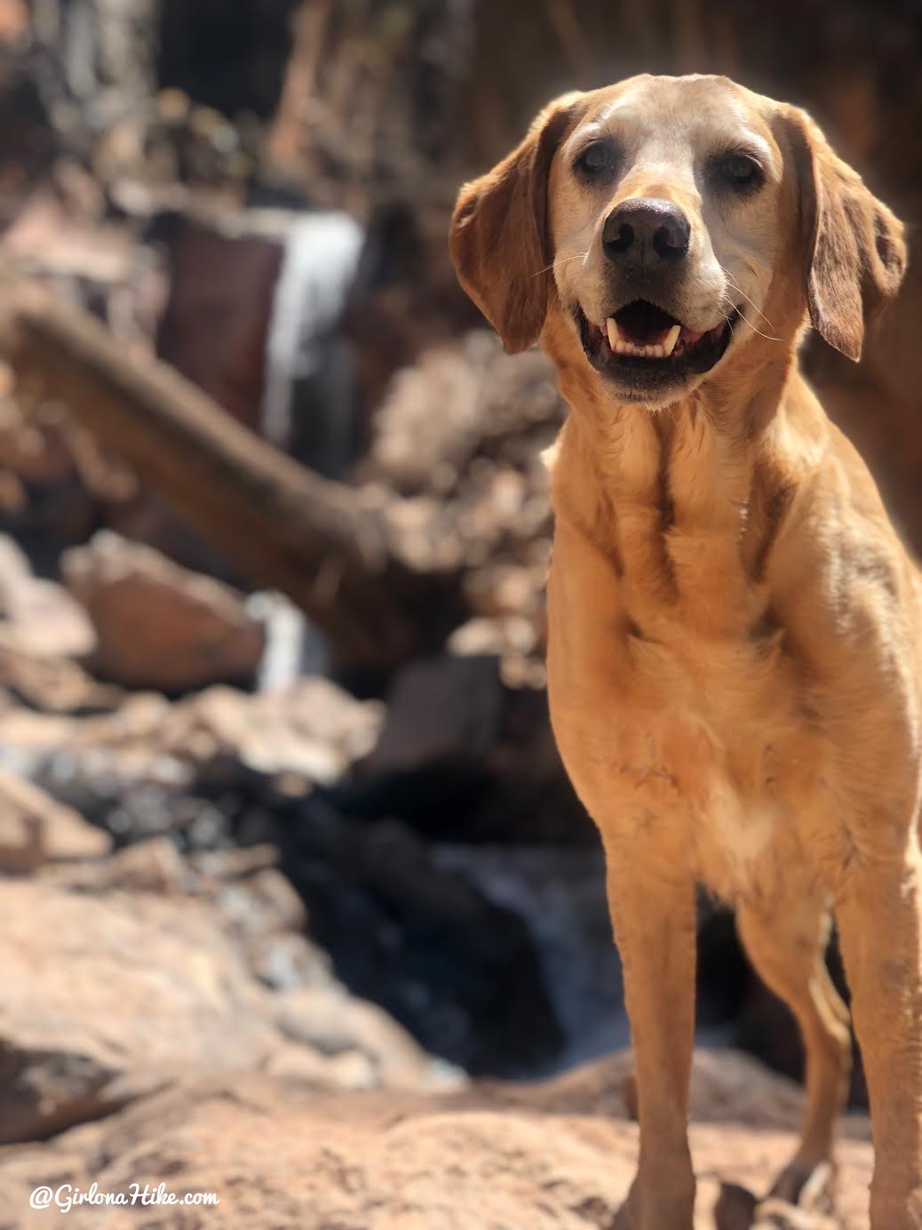 Hiking to the Hidden Haven Waterfall, Parowan, Utah waterfall, Brian Head waterfall, waterfalls in utah, waterfalls in southern utah, dog friendly utah waterfalls