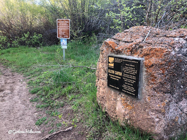 Hiking to Lookout Peak