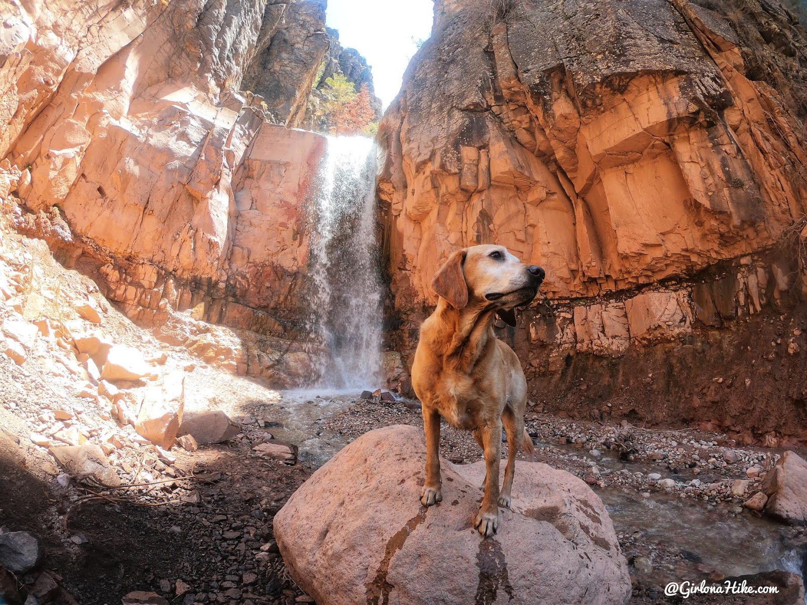 Hiking to the Hidden Haven Waterfall, Parowan, Utah waterfall, Brian Head waterfall, waterfalls in utah, waterfalls in southern utah, dog friendly utah waterfalls