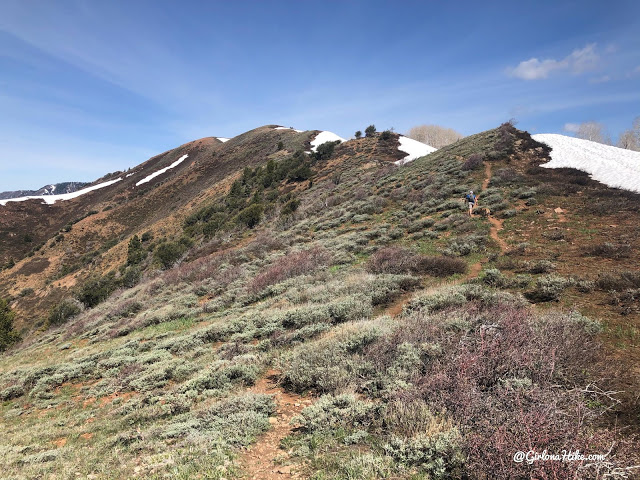 Hiking to Lookout Peak