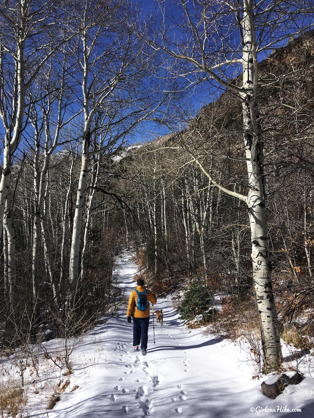 Hiking to Bouillon Falls, Utah, Waterfalls in Utah, Best waterfalls in utah