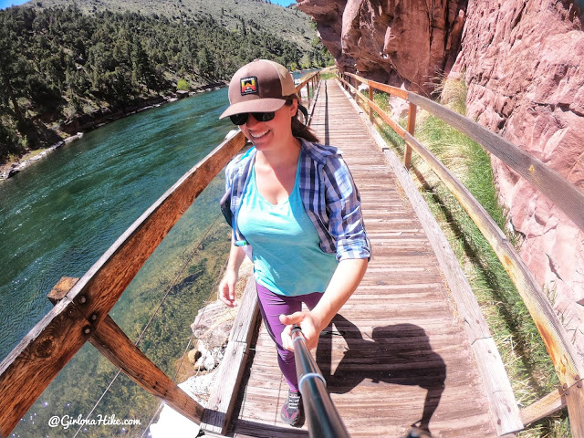 Camping & Exploring at Flaming Gorge National Rec Area, Hiking the Little Hole Trail