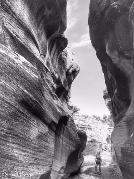 Hiking Willis Creek Slot Canyon, Hiking in Utah with Dogs