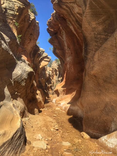 Hiking Willis Creek Slot Canyon, Hiking in Utah with Dogs