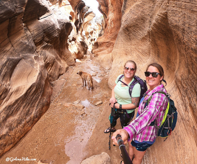 Willis Creek Slot Canyon