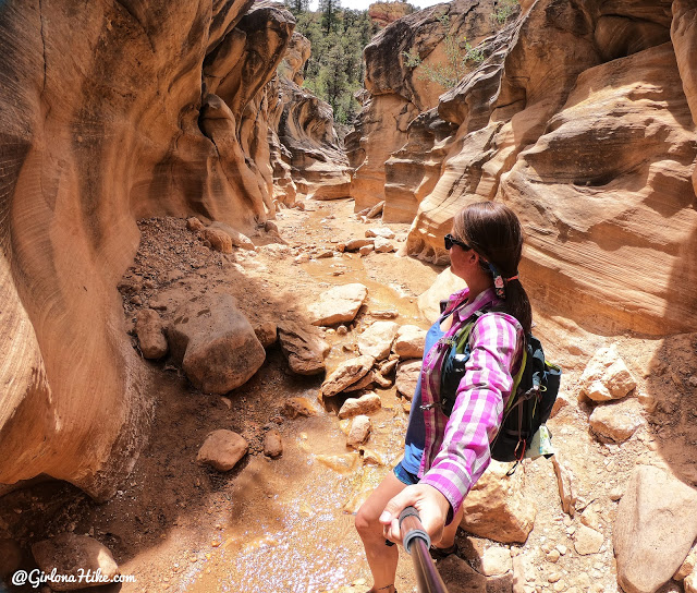 Willis Creek Slot Canyon