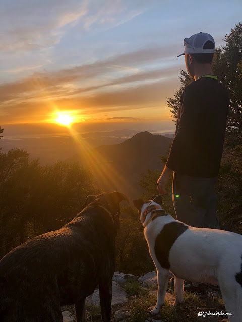 Hiking to Thaynes Canyon Peak, Hiking in Utah, Hiking in Utah with Dogs