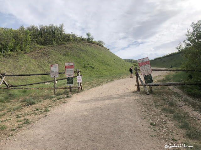 2 dogs 'quilled' by porcupine at off-leash area in Draper