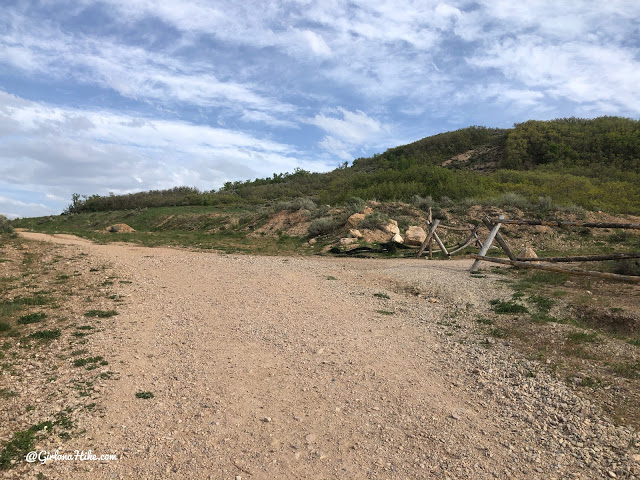 Hiking at the Deer Ridge Off Leash Area, draper utah trail