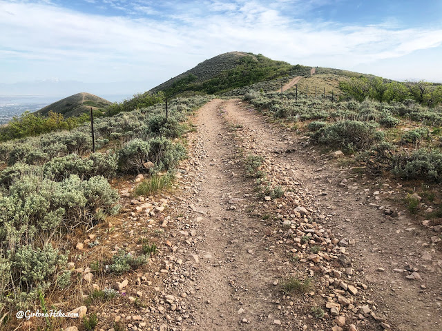 Hiking at the Deer Ridge Off Leash Area, draper utah trail