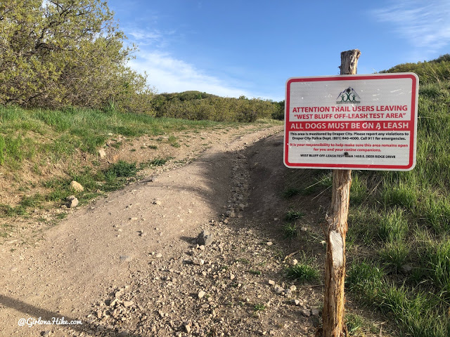 Hiking at the Deer Ridge Off Leash Area, draper utah trail