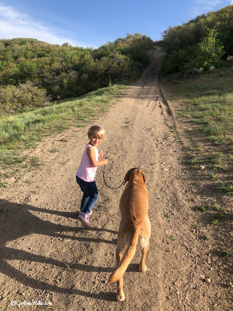 Hiking at the Deer Ridge Off Leash Area, draper utah trail