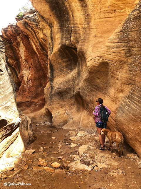 Willis Creek Slot Canyon