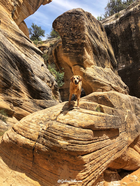 Willis Creek Slot Canyon