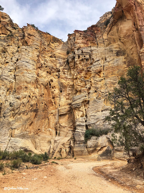 Willis Creek Slot Canyon