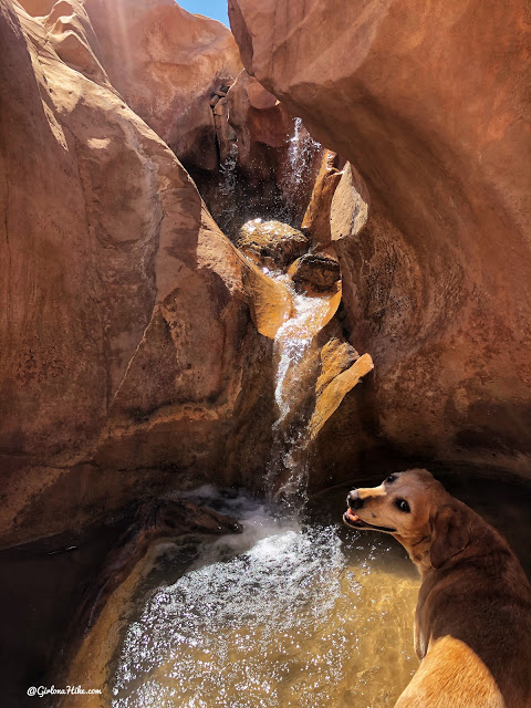 Willis Creek Slot Canyon