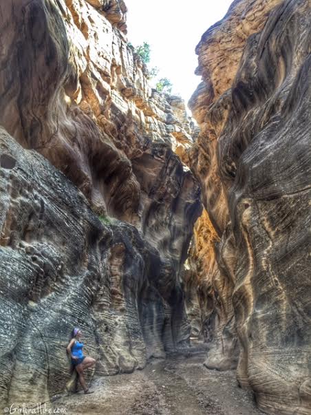 Hiking Willis Creek Slot Canyon, Hiking in Utah with Dogs