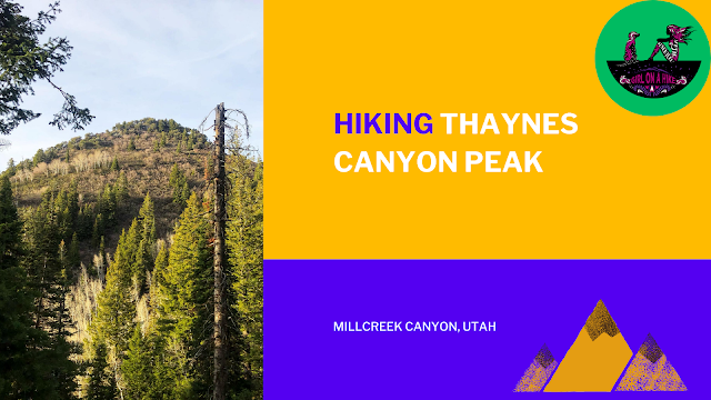 Hike Thaynes Canyon Peak, Millcreek canyon utah