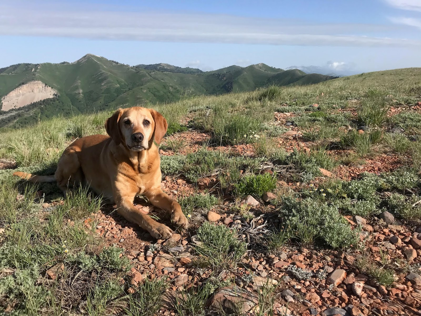 Hiking to Lookout Peak, Killyons Canyon, Utah