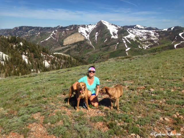 Hiking to Lookout Peak, Killyons Canyon, Utah