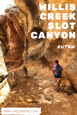 Willis Creek Slot Canyon