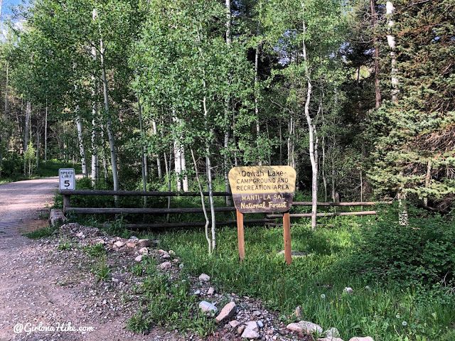 Hiking to Haystack Mountain, LaSal Mountains