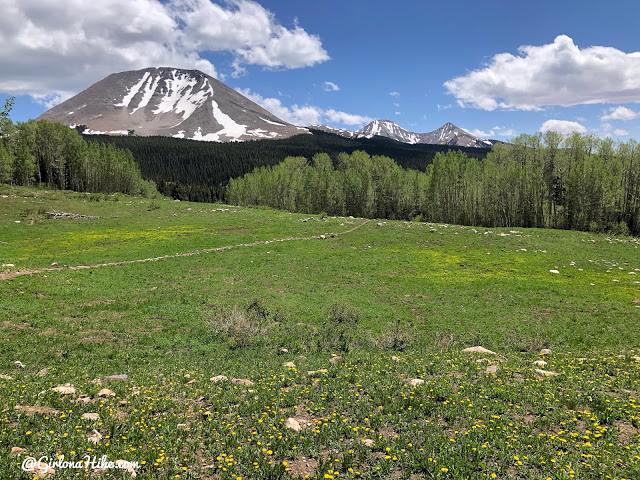 Hiking to Haystack Mountain, LaSal Mountains