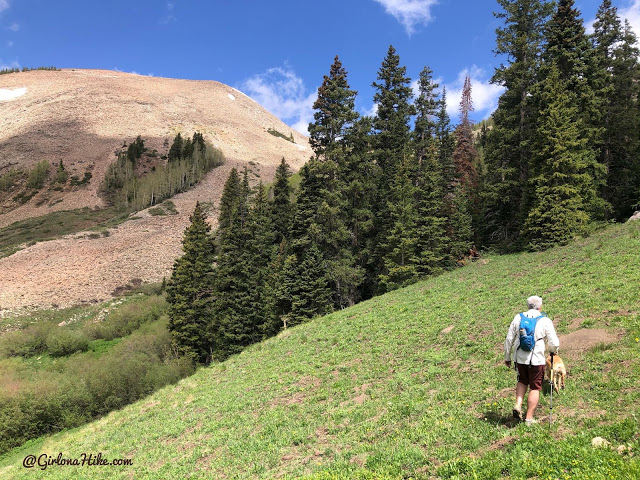 Hiking to Haystack Mountain, LaSal Mountains