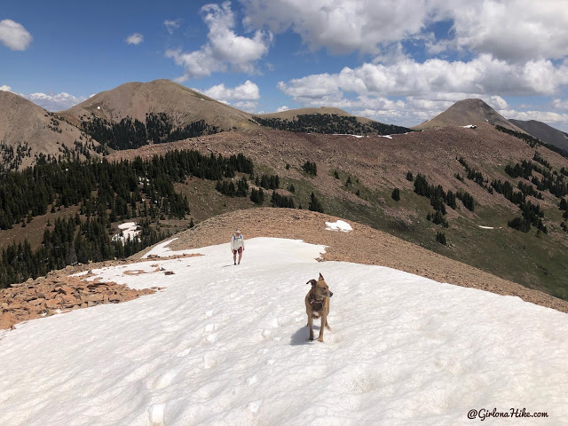 Hiking to Haystack Mountain, LaSal Mountains