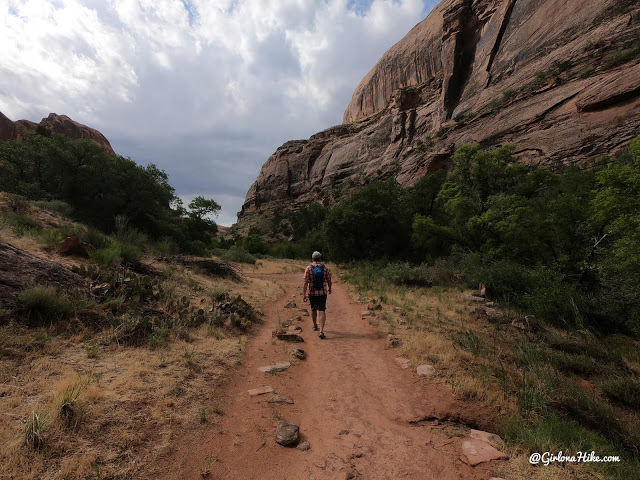 Hiking Grandstaff Canyon to Morning Glory Arch, Dog friendly hikes in moab, hiking in moab with dogs