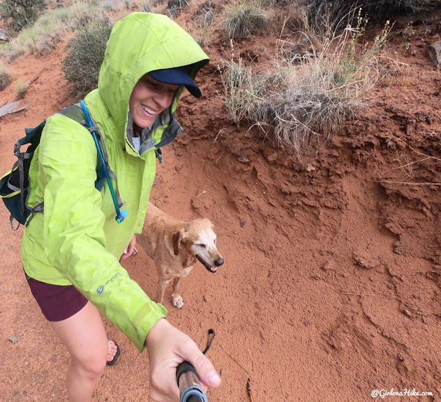 Hiking Grandstaff Canyon to Morning Glory Arch, Dog friendly hikes in moab, hiking in moab with dogs