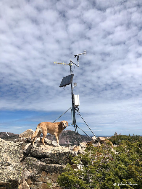 Hiking the Lofty Lake Loop & Cuberant Lake, Uintas