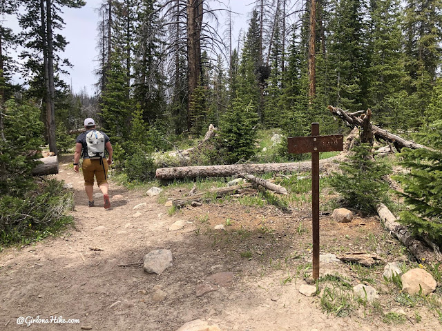 Hiking to Long Lake & Island Lake, Uintas