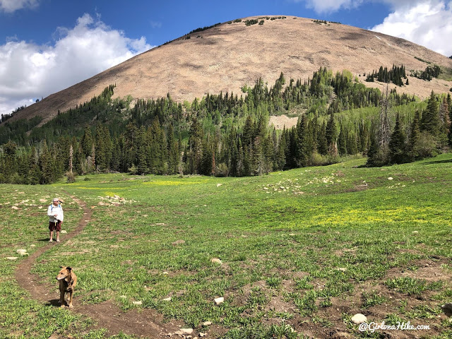 Hiking to Haystack Mountain, LaSal Mountains