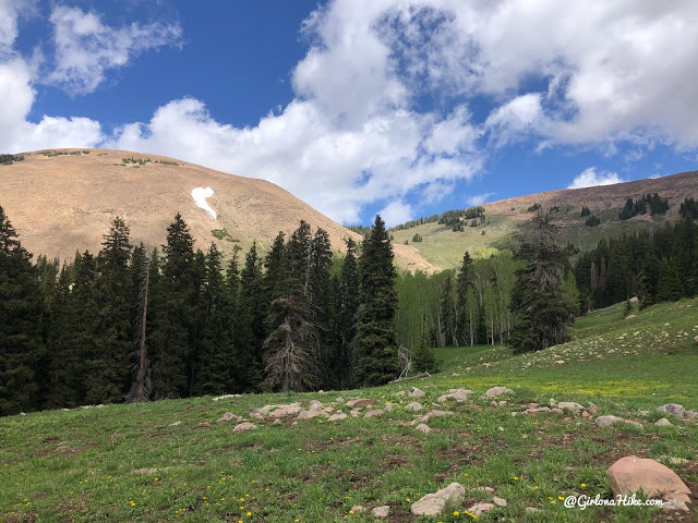 Hiking to Haystack Mountain, LaSal Mountains