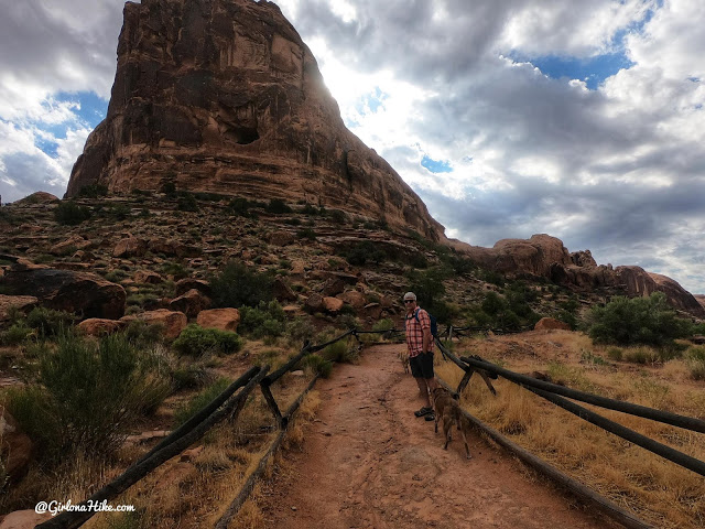 Hiking Grandstaff Canyon to Morning Glory Arch, Dog friendly hikes in moab, hiking in moab with dogs