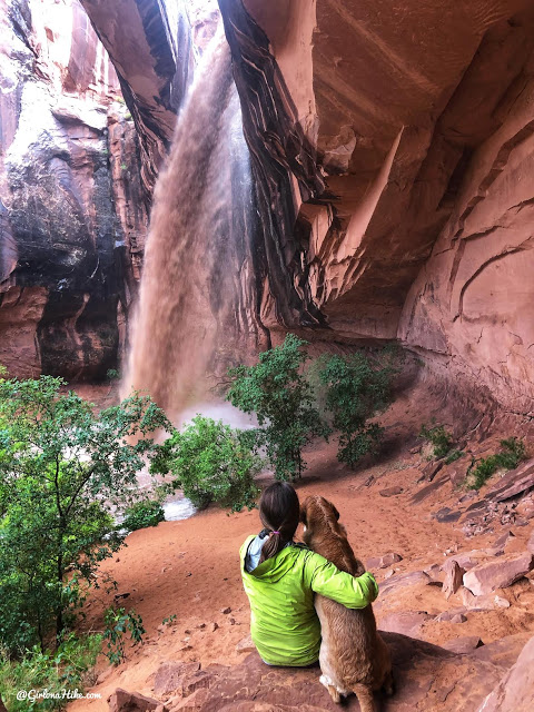 Hiking Grandstaff Canyon to Morning Glory Arch, Dog friendly hikes in moab, hiking in moab with dogs