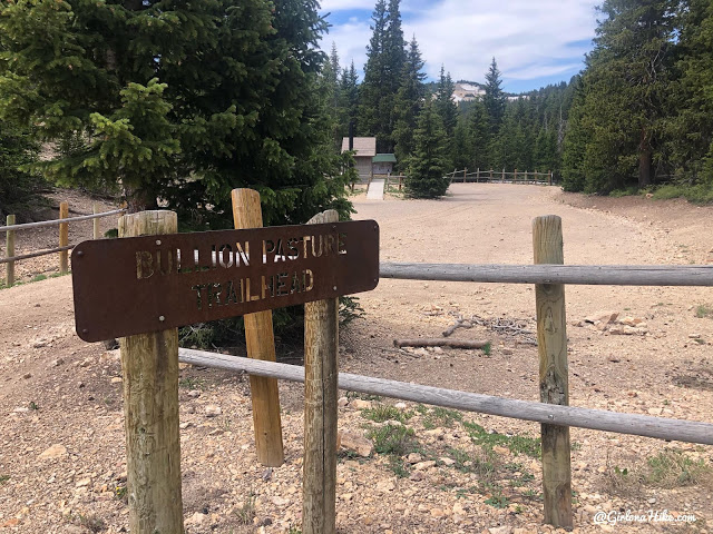 Hiking to Mt.Belknap Tushar Mountains, Utah