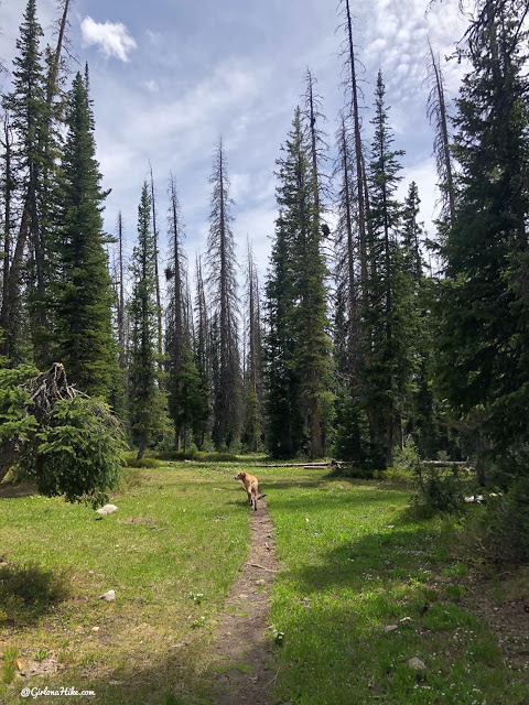 Hiking to Long Lake & Island Lake, Uintas