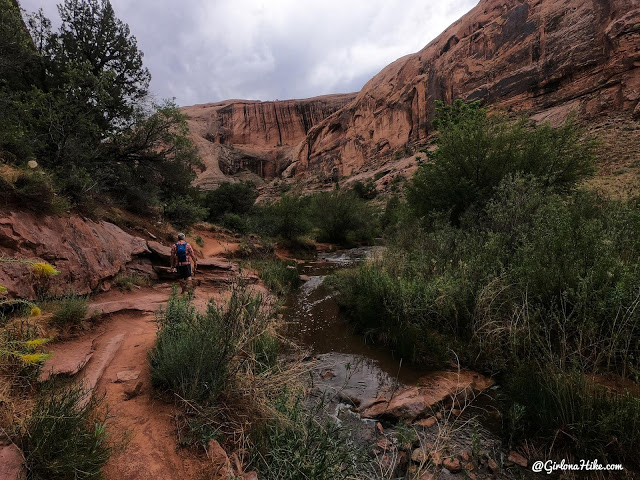 Hiking Grandstaff Canyon to Morning Glory Arch, Dog friendly hikes in moab, hiking in moab with dogs