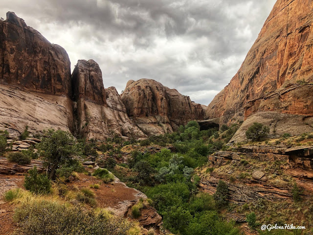 Hiking Grandstaff Canyon to Morning Glory Arch, Dog friendly hikes in moab, hiking in moab with dogs