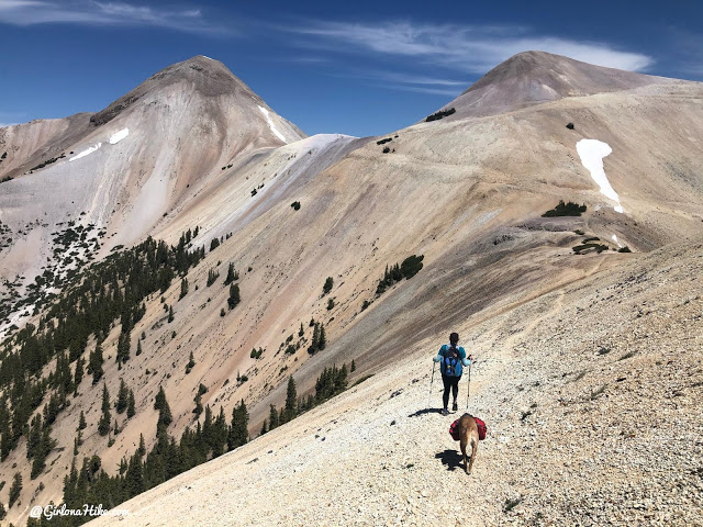 Hiking to Mt.Belknap Tushar Mountains, Utah