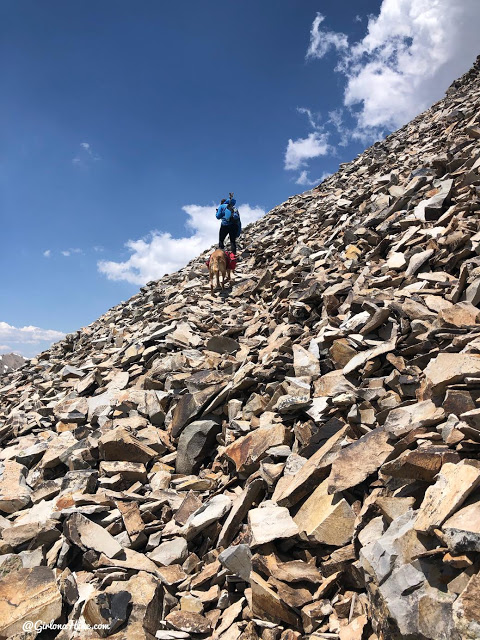 Hiking to Mt.Belknap Tushar Mountains, Utah